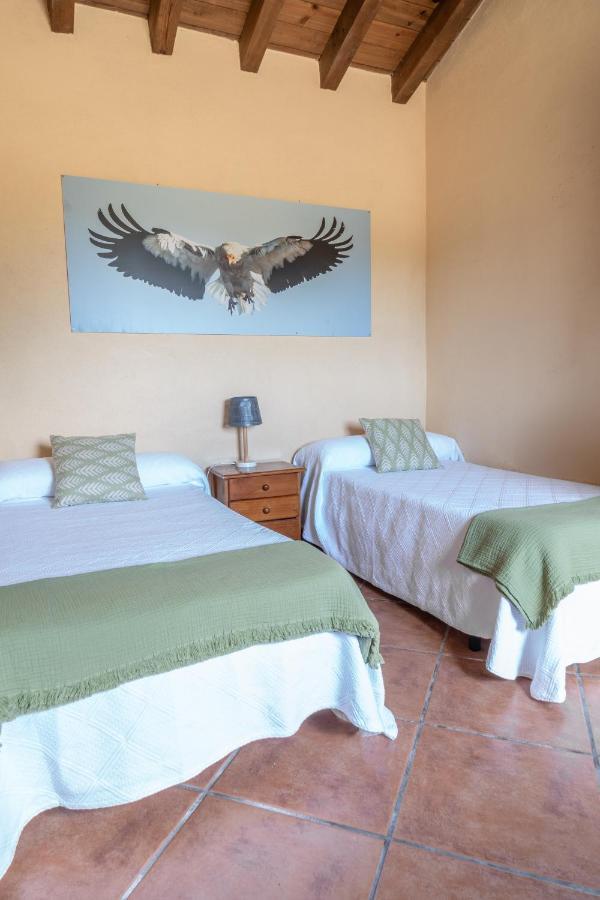 Eco-Lodge En La Reserva Privada Campanarios De Azaba - Proyecto De Conservacion Espeja Extérieur photo