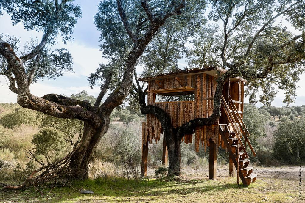 Eco-Lodge En La Reserva Privada Campanarios De Azaba - Proyecto De Conservacion Espeja Extérieur photo