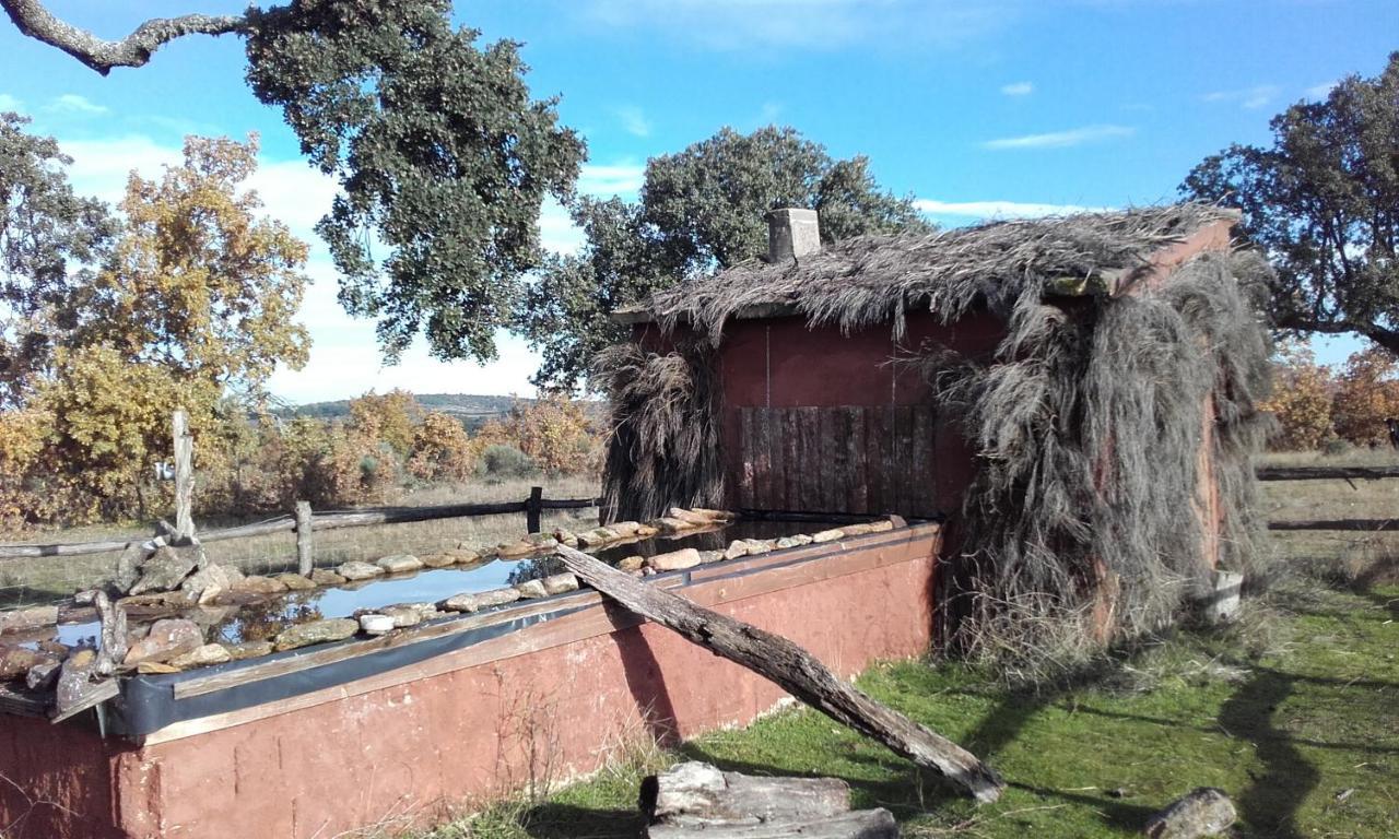 Eco-Lodge En La Reserva Privada Campanarios De Azaba - Proyecto De Conservacion Espeja Extérieur photo